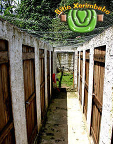 baias_01_web.jpg